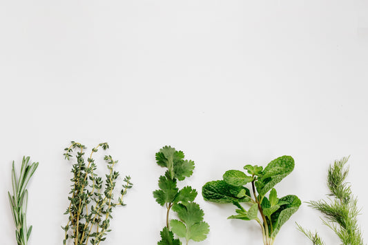 From India to the Southeast: 7 Ayurvedic Cooling Foods and Practices to Reset Your Body and Mind- a conversation with Vikram Bhonsle